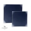 Square Accent Square Coupe Navy • Silver Plastic Plates | 10 Pack